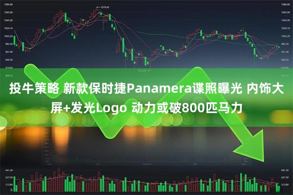 投牛策略 新款保时捷Panamera谍照曝光 内饰大屏+发光Logo 动力或破800匹马力