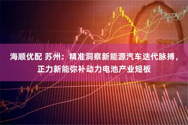 海顺优配 苏州:精准洞察新能源汽车迭代脉搏,正力新能弥补动力电池产业短板