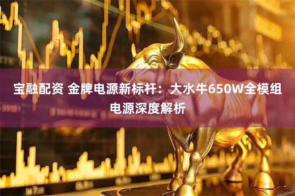 宝融配资 金牌电源新标杆:大水牛650W全模组电源深度解析