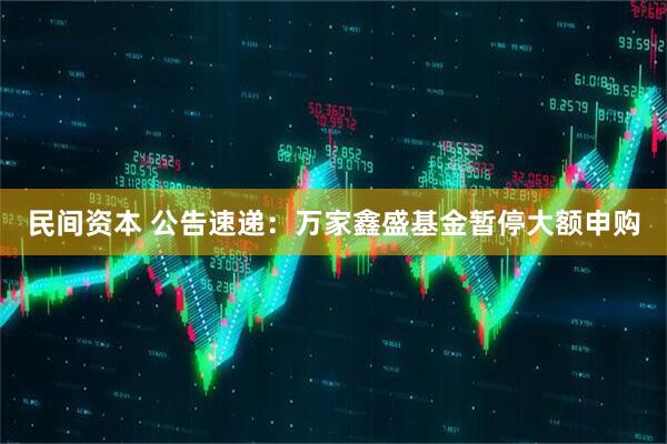 民间资本 公告速递：万家鑫盛基金暂停大额申购