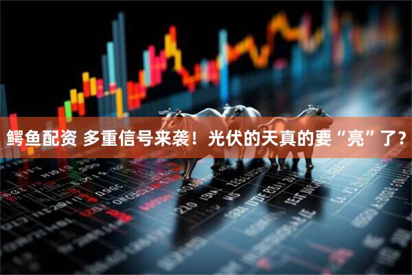 鳄鱼配资 多重信号来袭！光伏的天真的要“亮”了？